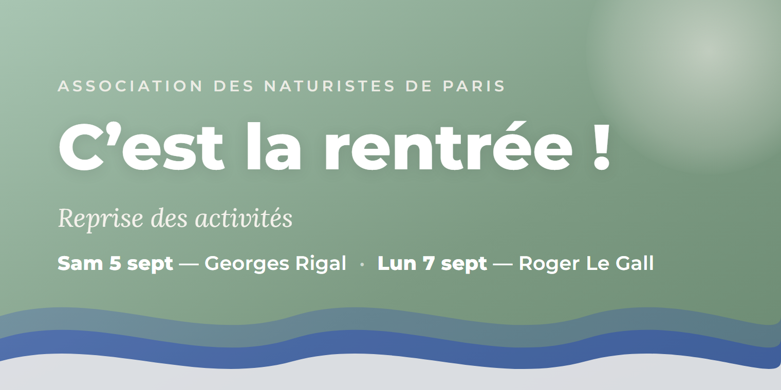 Reprise des activités
