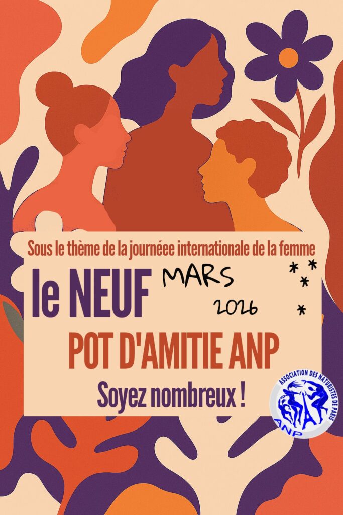 ANP News – Mars 2026